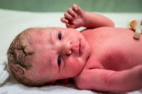 Kraamreportage Alkmaar Sandrinos Fotografie Kraamreportage Alkmaar Sandrinos Fotografie