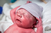 Kraamreportage Alkmaar Sandrinos Fotografie Kraamreportage Alkmaar Sandrinos Fotografie