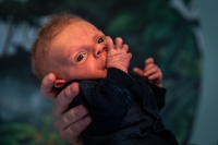 Kraamreportage Alkmaar Sandrinos Fotografie Kraamreportage Alkmaar Sandrinos Fotografie