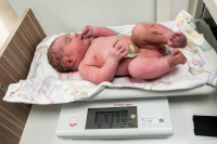 Geboortereportage Den Haag-14 Na de ziekenhuisbevalling in Den Haag wordt de pasgeboren baby gewogen, liefdevol gefotografeerd door Sandrinos Geboortefotografie.