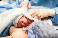 De pasgeboren baby ligt na de keizersnede bij mama op haar borst op de ok