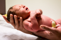 Geboorte-VBAC-8 Een close-up van de pasgeboren baby na de VBAC bevalling