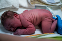 Geboortefotografie Haarlem-9 De baby wordt na de bevalling nagekeken door de verloskundige